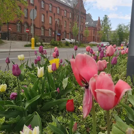 Partyzantow 22 شقة أولشتين