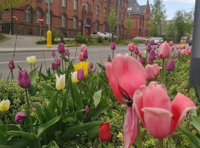 Partyzantow 22 Daire Olsztyn (Warmian-Masurian)